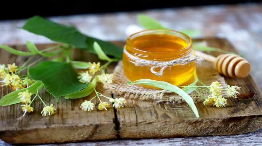 Quels sont les 5 Bienfaits du Miel de Tilleul ?