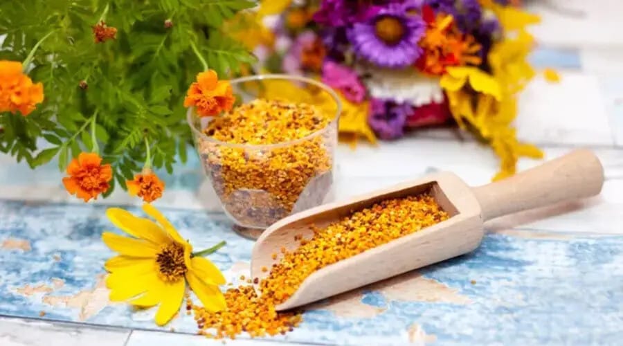 Les Bienfaits du Pollen Cru