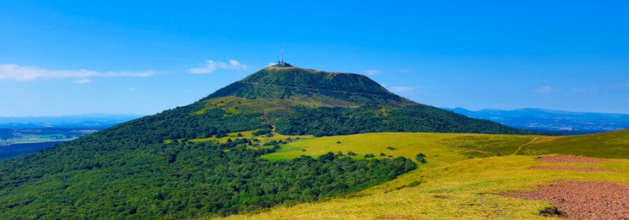 Miel de Montagne d’Auvergne Miel de Montagne d'Auvergne