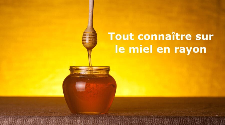 Tout connaître sur le miel en rayon Tout connaître sur le miel en rayon
