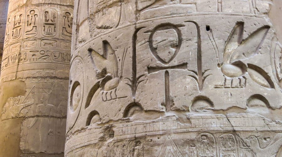 L'histoire du miel à travers le monde entier