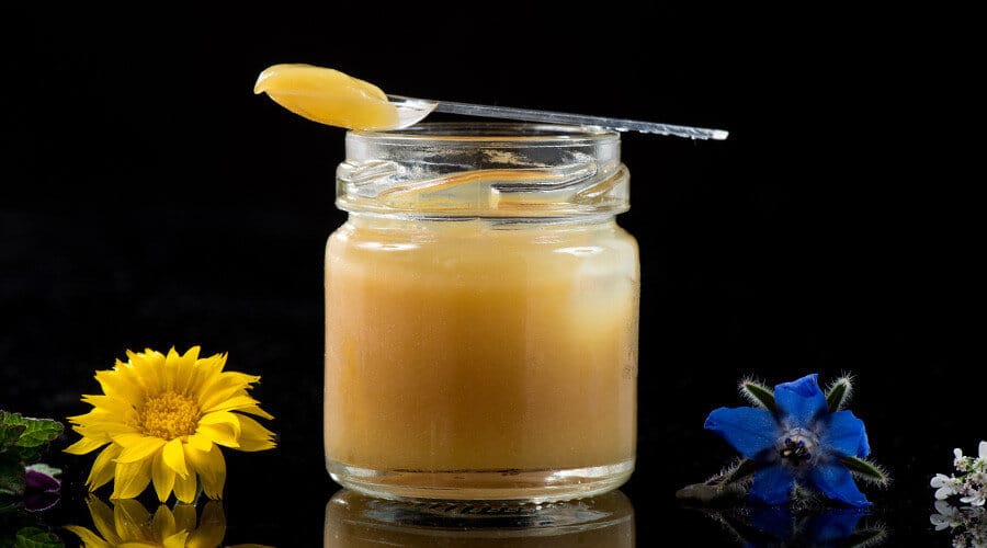 Gelée Royale : une substance unique