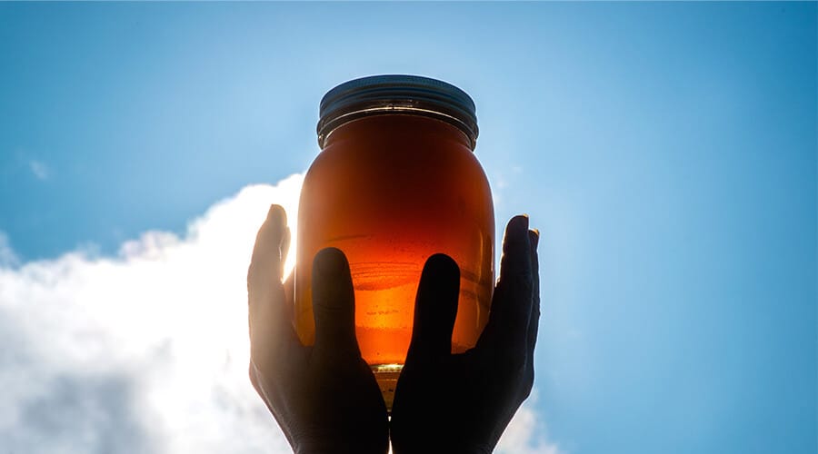 Quel miel en été ?