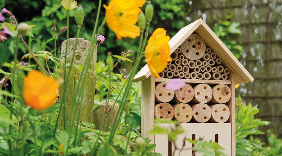Astuces pour créer un jardin pour les abeilles