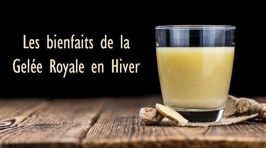 Les bienfaits de la Gelée Royale pour renforcer votre immunité cet hiver Les bienfaits de la Gelée Royale pour renforcer votre immunité cet hiver