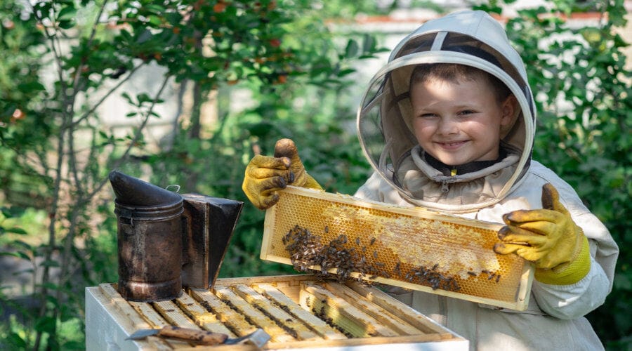Les secrets de l'apithérapie révélés par la sagesse des abeilles